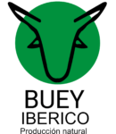 Buey Iberico